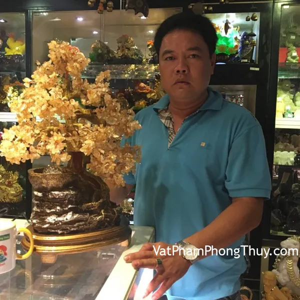 Anh Dương - khách hàng mua cây tài lộc thạch anh vàng phong thủy luân KC035