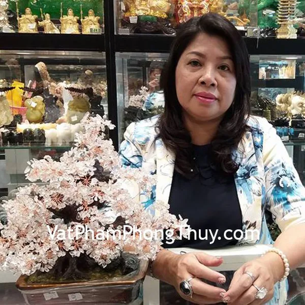 Chị Hương - Khách hàng mua cây tài lộc kiểu mới pháo hoa thạch anh trắng KC073
