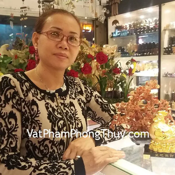 Chị Thịnh - Gà mái ấp trứng vàng G074A và Cây tài lộc mã não đỏ trung KC054