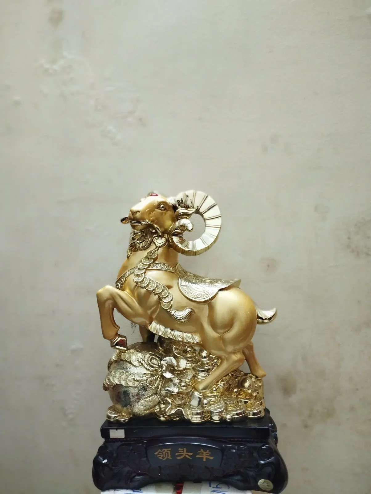 Dê túi tiền vàng - thủ lĩnh dương H028G