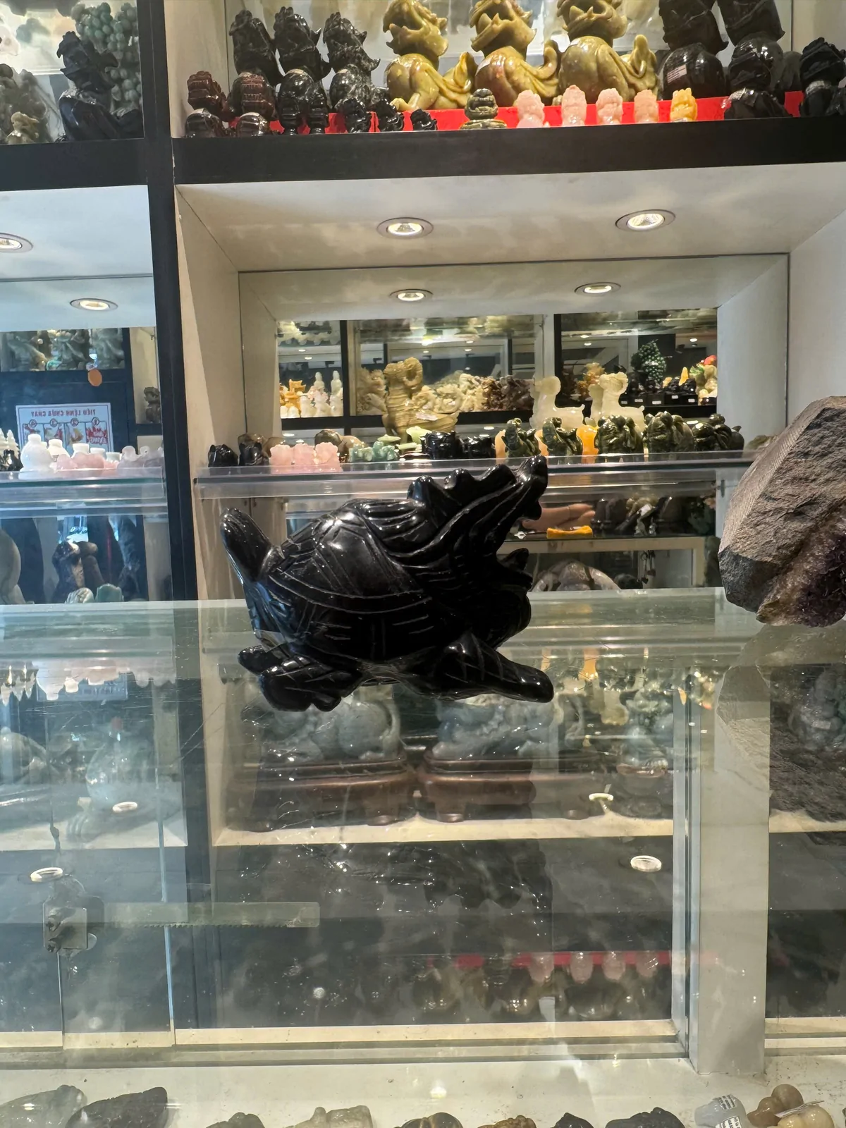 Rùa đầu rồng hắc ngà nhỏ HM079