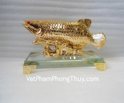Cá kim long vàng ngọc lớn - chiêu tài kim long H281G