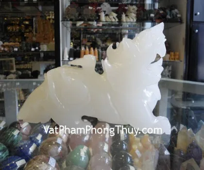 Tỳ hưu hắc ngà sừng, cánh vểnh, trung R017