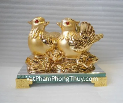 Uyên ương trắng bọc vàng - ngọt mật mật H488G