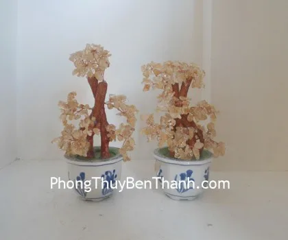 Cây thạch anh vàng bonsai,chậu tròn FCA120