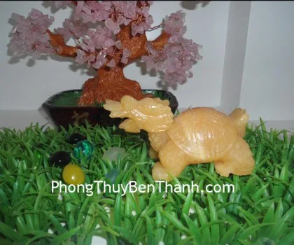 Rùa đầu rồng hoàng long trơn FHM037