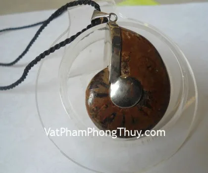 Ốc hóa thạch đeo cổ lớn K085