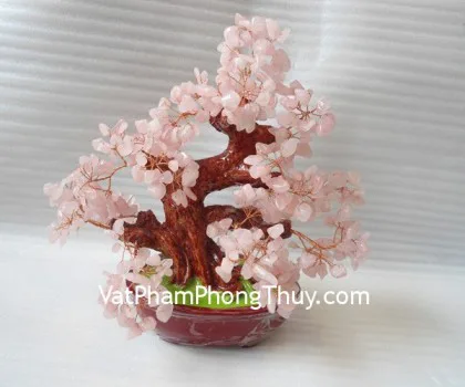 Cây thạch anh hồng trung FHCA266