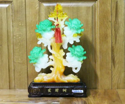 Cây phát tài có 4 bắp cải - Cây phát tài C164A