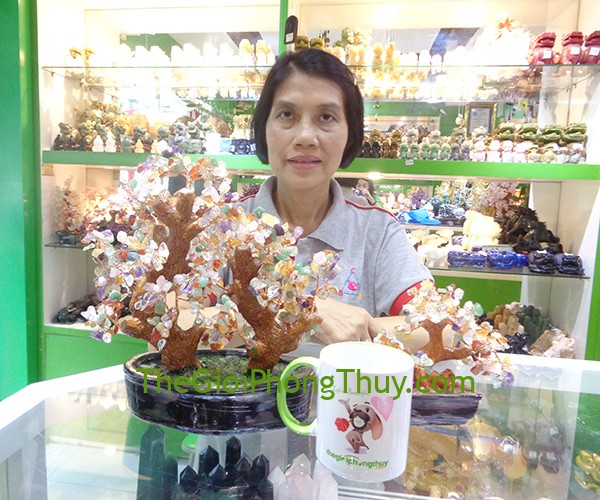 Chị Thanh - Khách Hàng mua Cây tài lộc nhiều màu FKC005 và Cây tài lộc nhiều màu mini FKC046