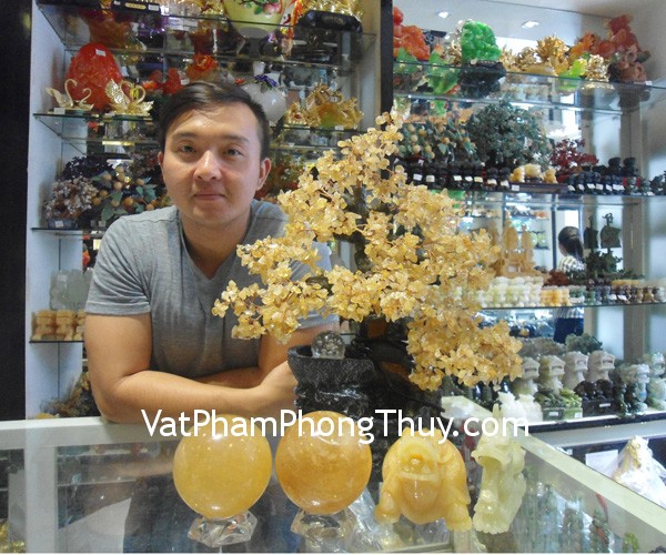 Anh Vinh - khách hàng mua cây tài lộc HCA252, long quy hoàng long M038, cầu thạch anh vàng HM155 và rồng cẩm thạch nằm N076-1
